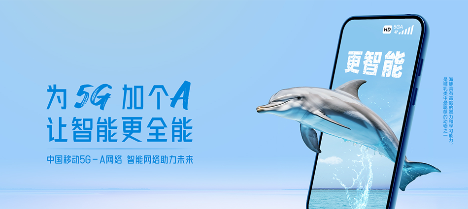 召陵区移动宽带移动宽带新装价格表